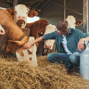 S.A.B. (Società Agricola Bontiamo)